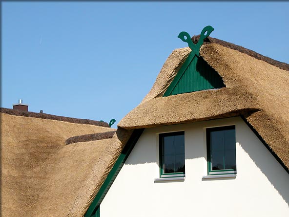 Reetdachdorf Scharmuetzelsee - Ferienhaus mit Reetdach