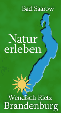 Naturreise, Badeurlaub, Angelurlaub - Reiseziel Scharm&uuml;tzelsee!